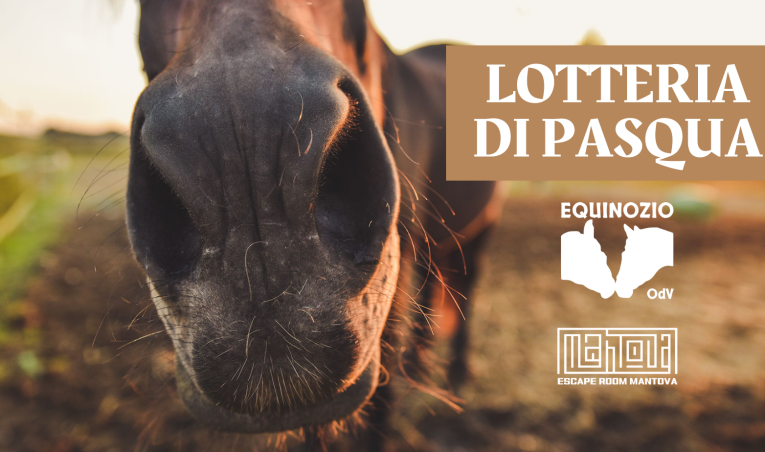 Aiutiamo i cavalli di Equinozio Odv – Lotteria di Pasqua